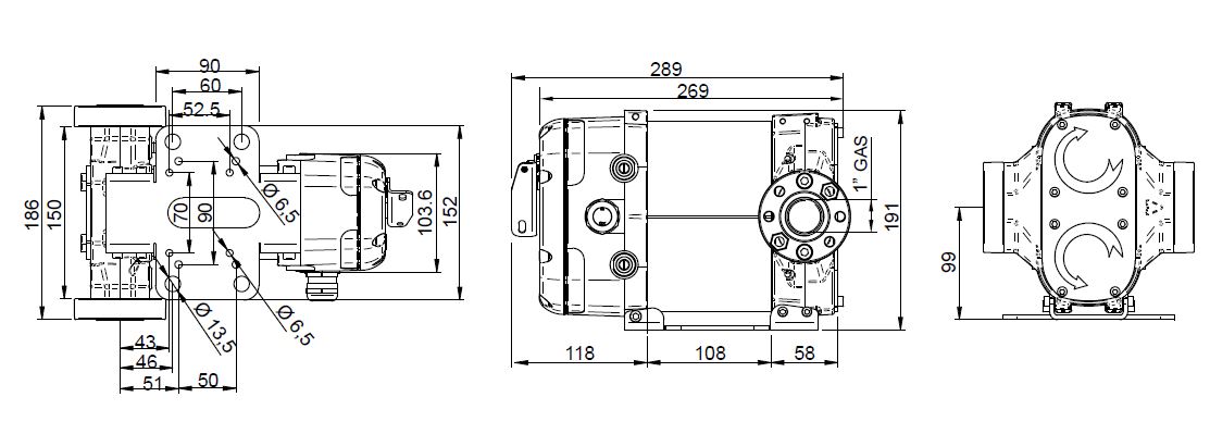 Piusi Dieselpumpe BIPUMP 24 V 85 l/min - F00363B0A